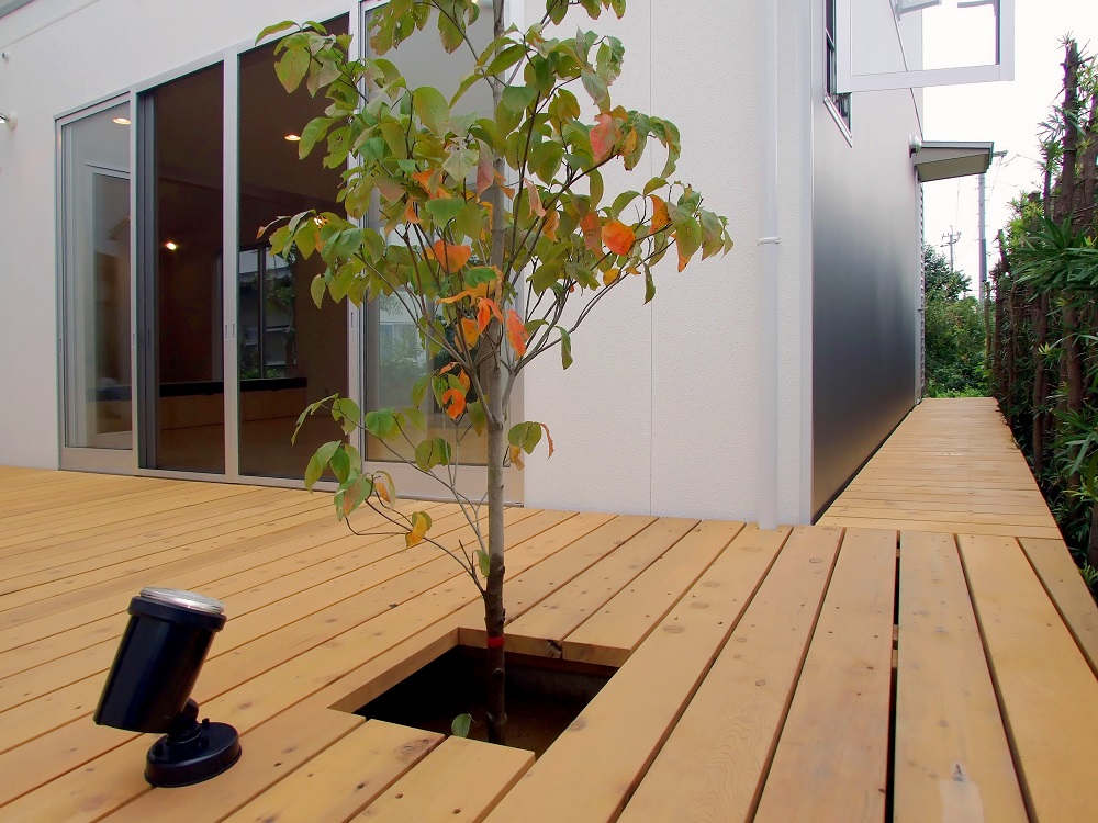 Chicane House8